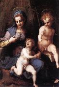 Andrea del Sarto Madonna and Child with the Young St John oil painting picture wholesale